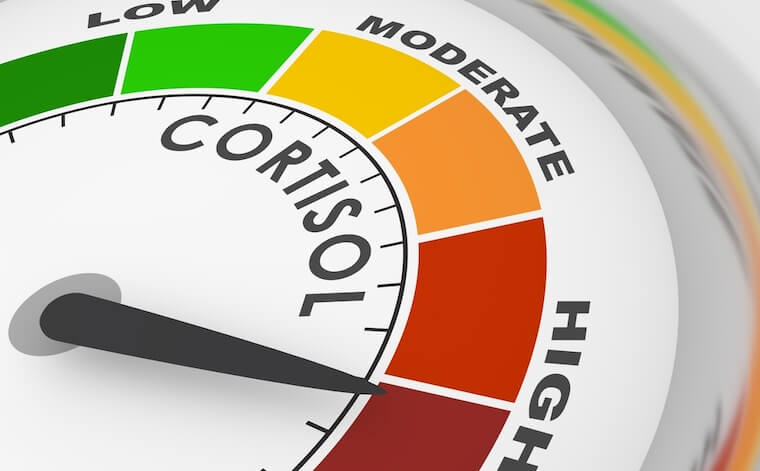 Cortisol meter reading high levels of cortisol