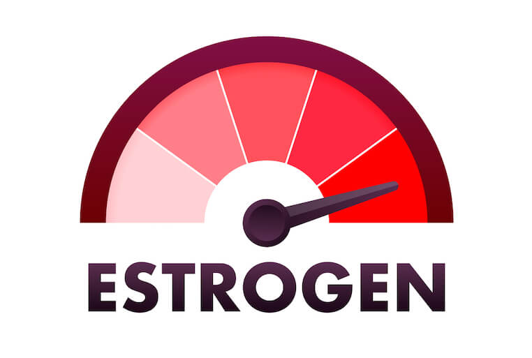 A meter showing estrogen at dangerous levels.